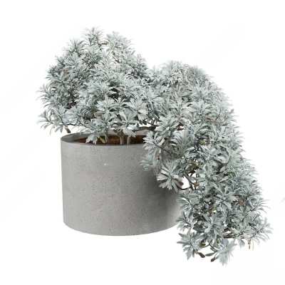植物盆栽3D模型下载